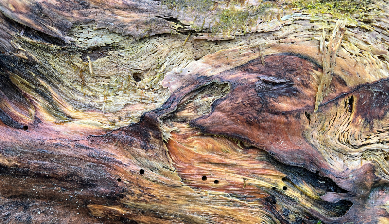 Strengthening Trust Uk Opens Consultation On High Integrity Voluntary